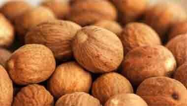 তুলসী পাতা, জয়ত্রী, হাড়ের সুস্থতা, স্বাস্থ্য