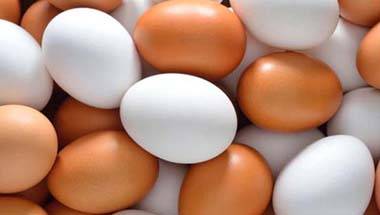 বিজেপি, মিড ডে মিল, আরএসএস, স্বাস্থ্য