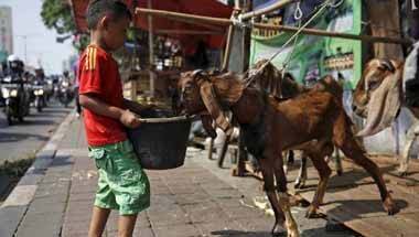 সংখ্যালঘু ভোটব্যাঙ্ক, হাইকোর্ট, লোকসভা নির্বাচন ২০১৯