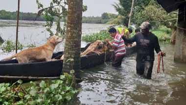 কেরল বন্যাত্রাণ, প্রাকৃতিক দুর্যোগ, পশুপ্রেমী সংস্থা, কেরলে বন্যা