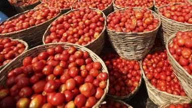 সুস্থ শরীর, সুস্থ, খনিজ, খনিজের গুণাগুণ