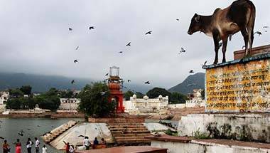 রাজনীতি, ভারত, হিন্দুত্ব