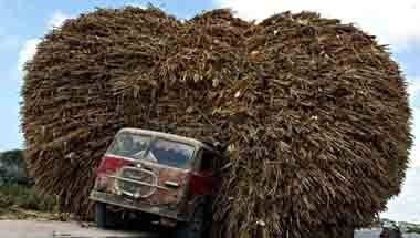 পণ্যবাহী লরি, ওভারলোডিংয়ের সমস্যা, ট্রাক, ভেঙে পড়ল মাঝেরহাট সেতু