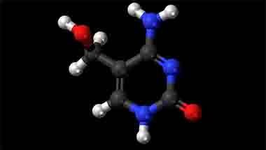 ক্যান্সার চিকিৎসা, ক্যান্সার কোষ