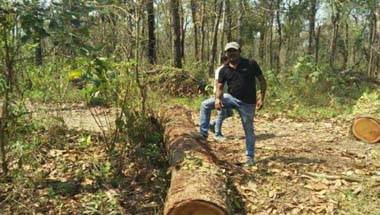 চোরাশিকার, পর্যটক, বন্যপ্রাণ, মানস জাতীয় উদ্যান