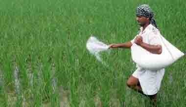 লোকসভা নির্বাচন ২০১৯, রাজনৈতিক চমক, কৃষিঋণ, ঋণ মকুব