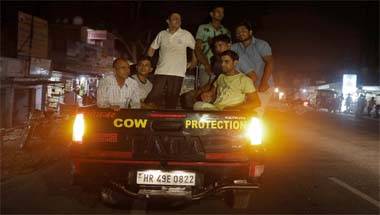 বিজেপি, লোকসভা নির্বাচন ২০১৯, বিধানসভা নির্বাচন