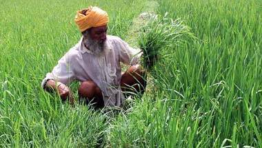 ভারতীয় অর্থনীতি, ঋণ মুকুব, লোকসভা নির্বাচন ২০১৯, বিধানসভা নির্বাচন