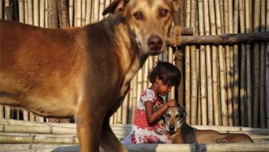 কলকাতা পুলিশ, এনআরএস হাসপাতাল, ভারতীয় দণ্ডবিধি, পশু-মানুষ সম্পর্ক