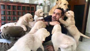 প্রিয়াঙ্কা গান্ধী, রবার্ট ওয়াড্রা