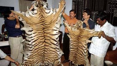 চোরাশিকার, বাস্তুশাস্ত্র, বন্যপ্রাণী সংরক্ষণ