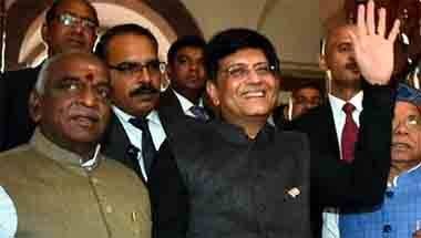 লোকসভা নির্বাচন ২০১৯, অন্তর্বর্তী বাজেট