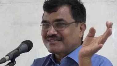 ভীমা করগাঁও মামলা, আনন্দ তেলতুম্বে