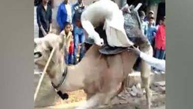 লোকসভা নির্বাচন ২০১৯, ফ্যাক্ট চেক