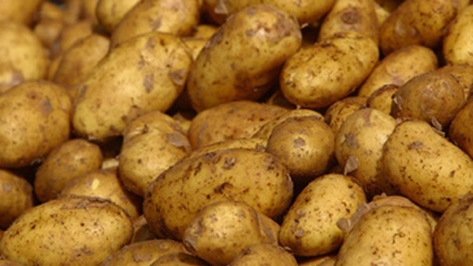 7 reasons why potatoes are good for you