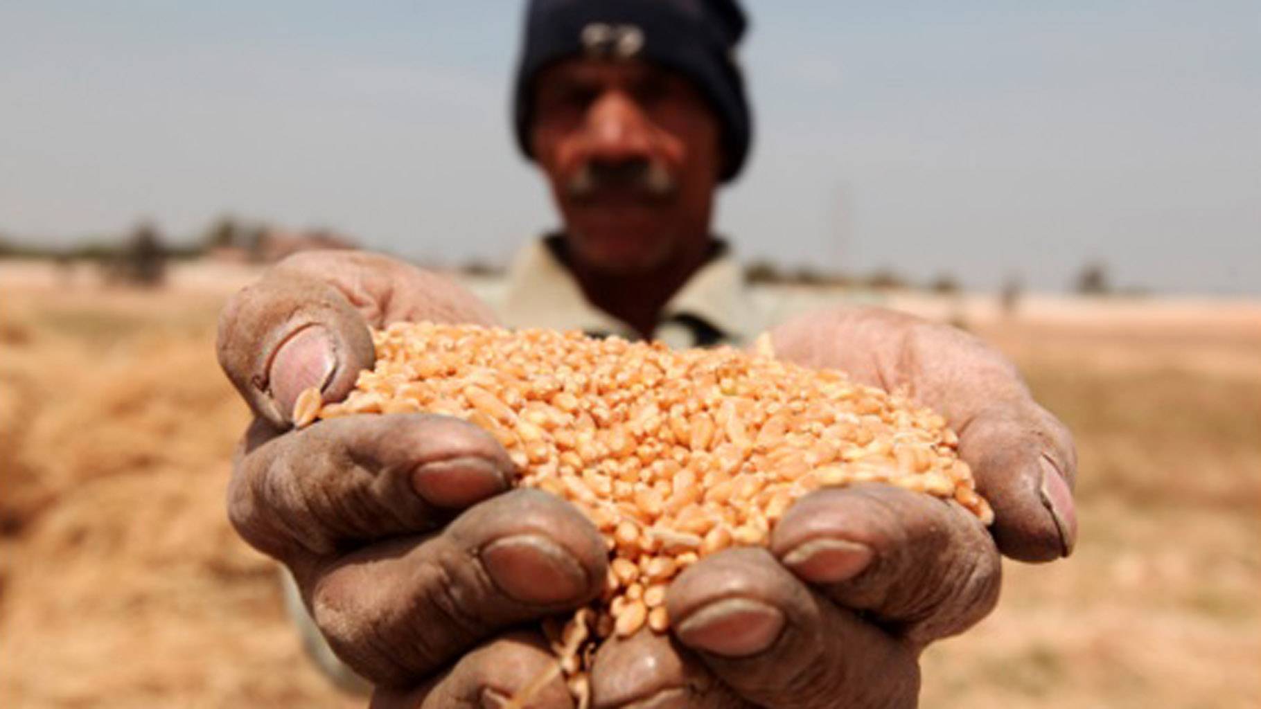 Punjab's Rs 12,000cr food grain scam is a kick on India's stomach