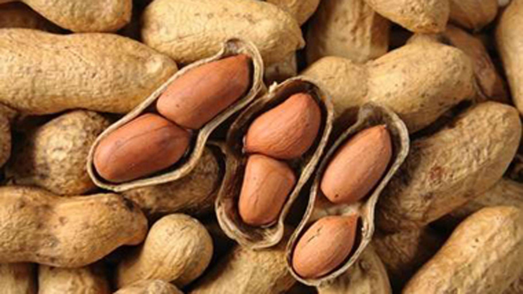 Don't be horrible to peanuts, they're good for us