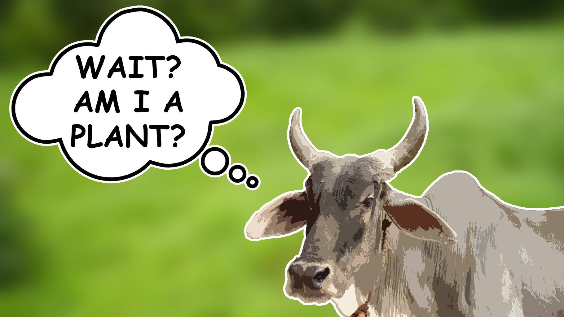 Breathe. Rajasthan education minister believes 'cows inhale and exhale