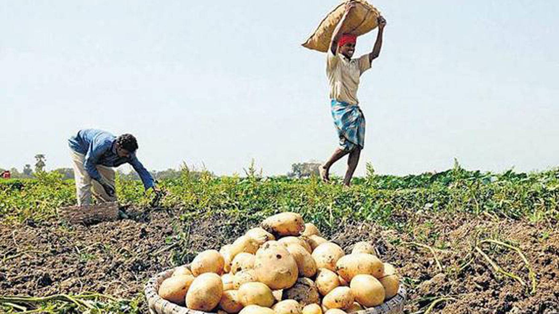 Do farm loan waivers really work?