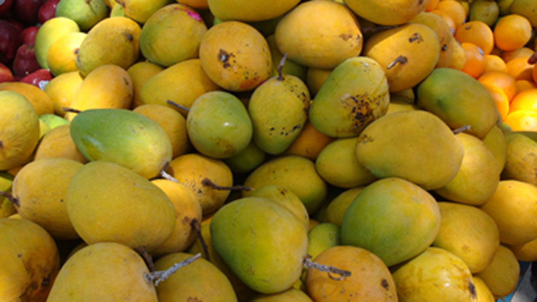 Mango is no longer a forbidden fruit for diabetics