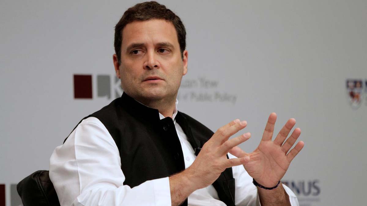 Rahul Gandhi must get back to work