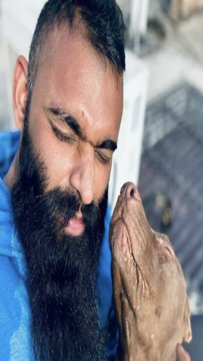 Is Pitbull Legal In India