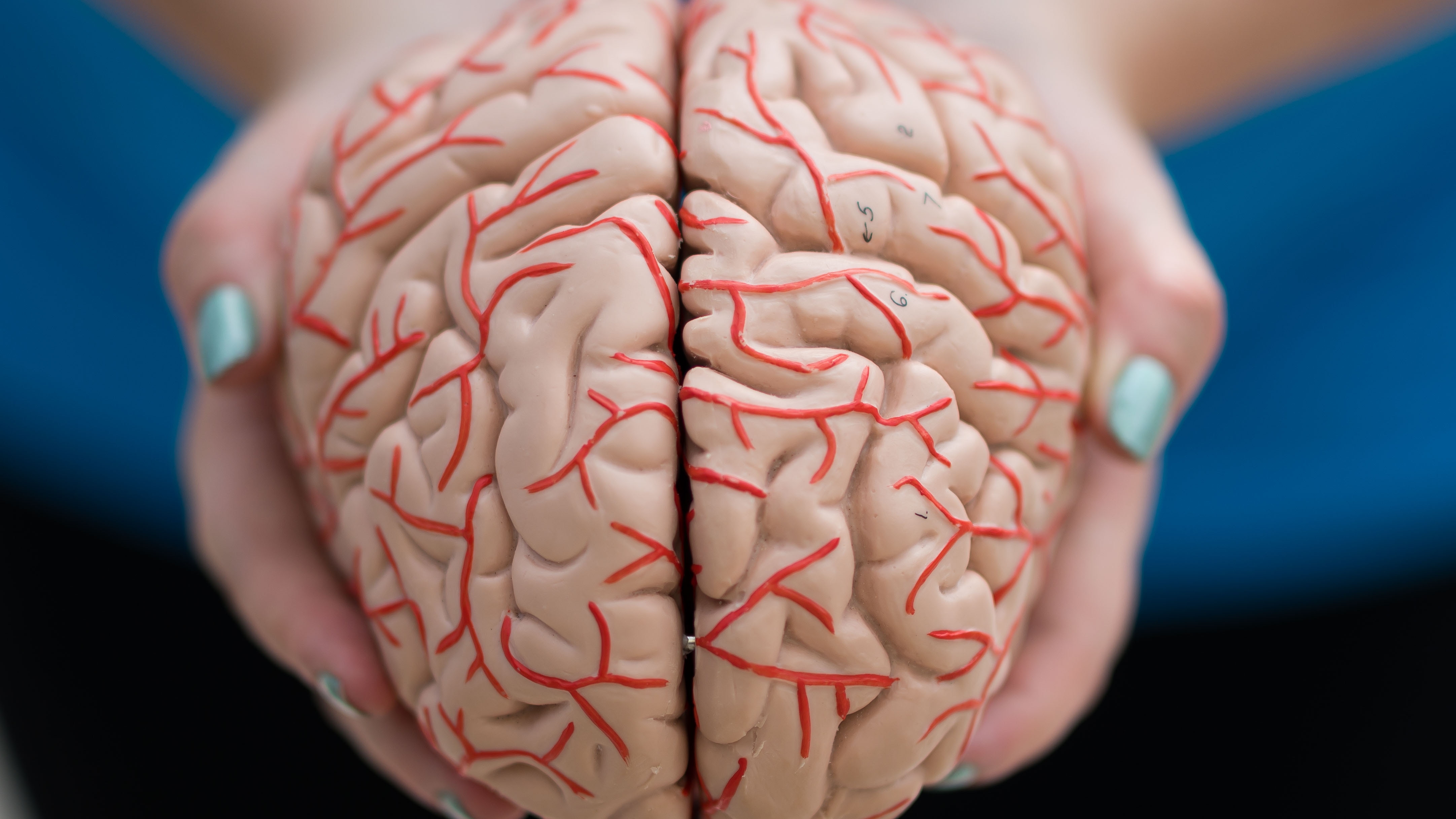 There is a new drug for treatment of Alzheimer's. How effective is it?