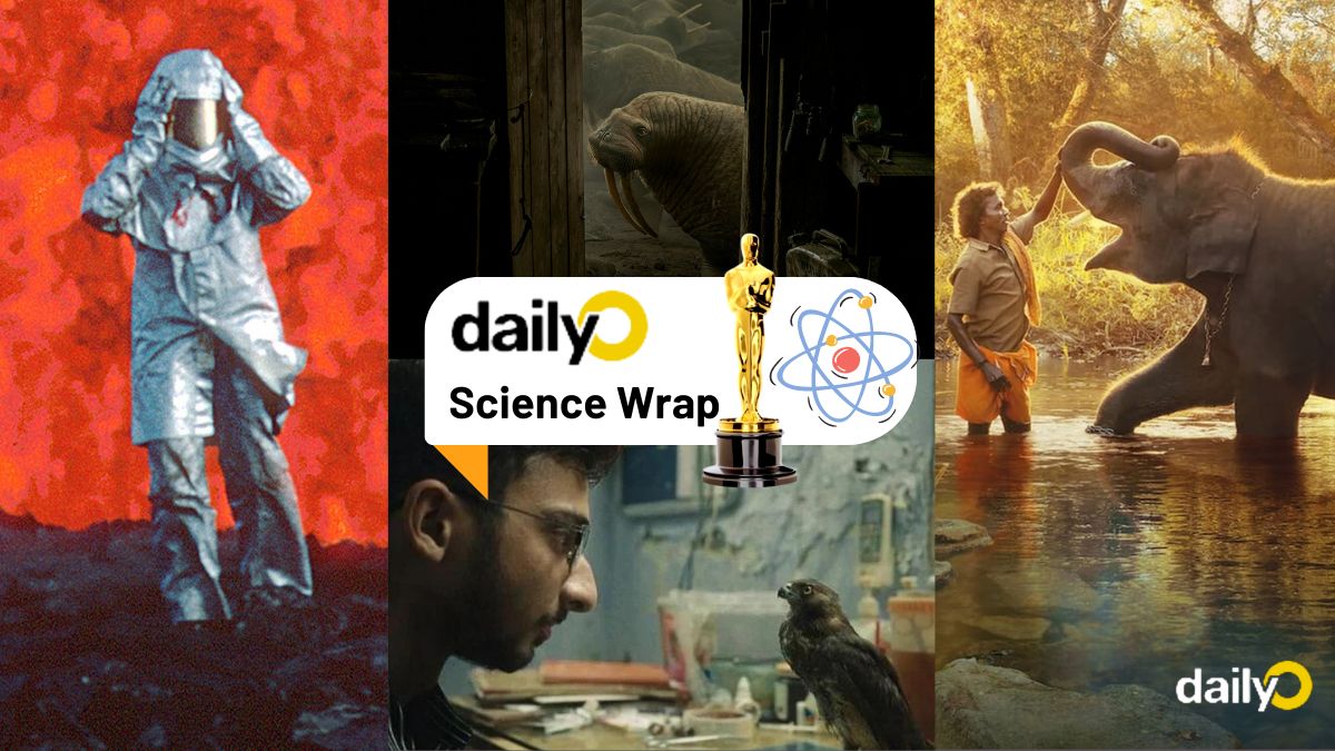 Science Wrap (Oscars Special) All That Breathes, The Elephant