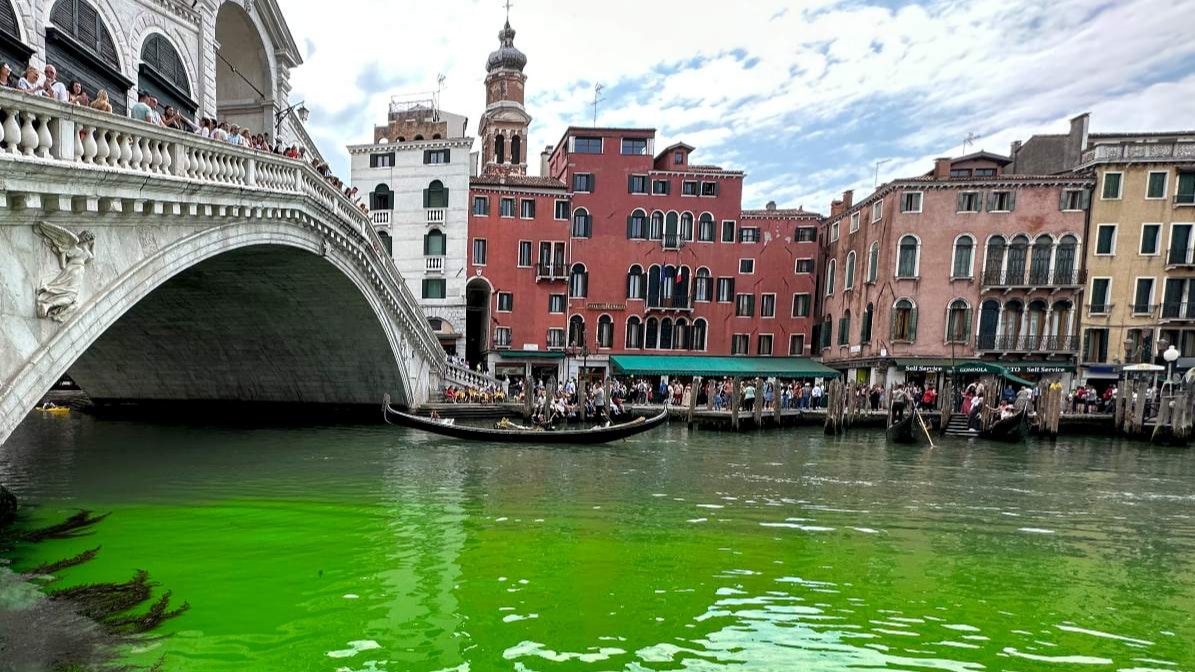 The mystery of why Venice Grand Canal turned green has been solved