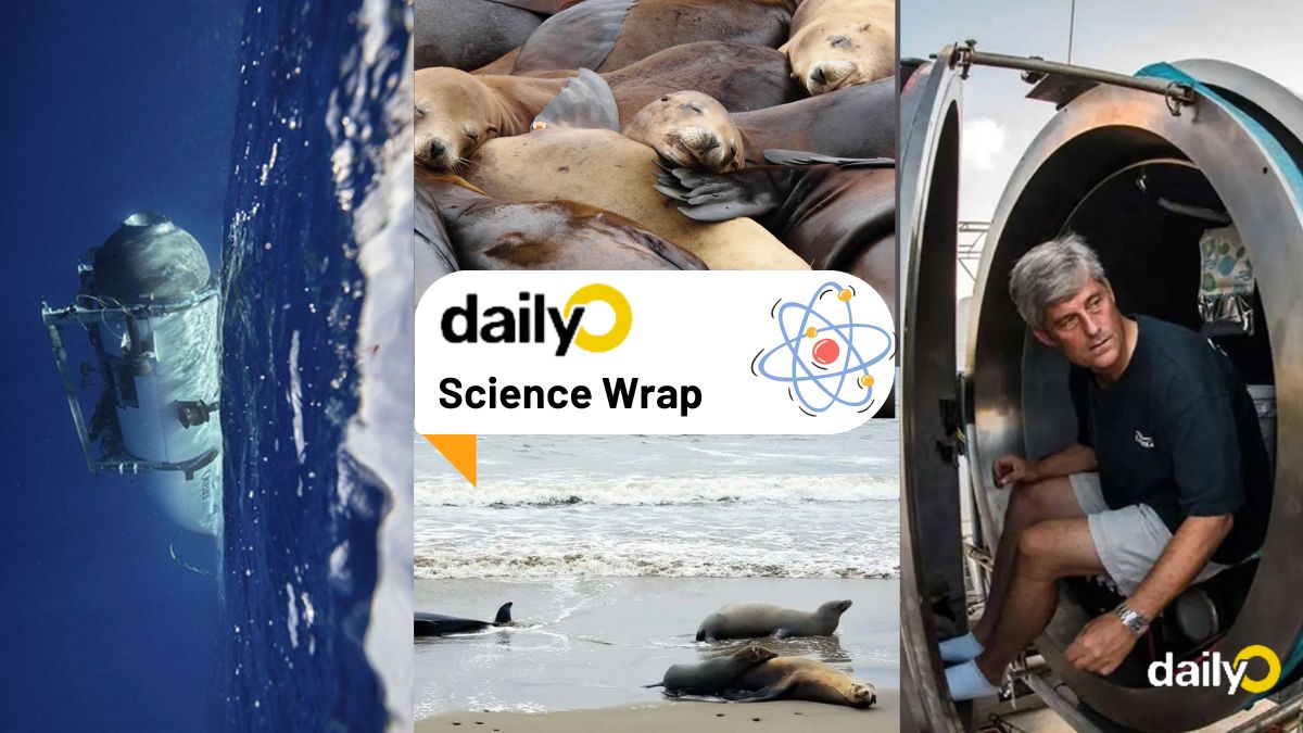 Science Wrap OceanGate submersible implosion, labgrown meat, and