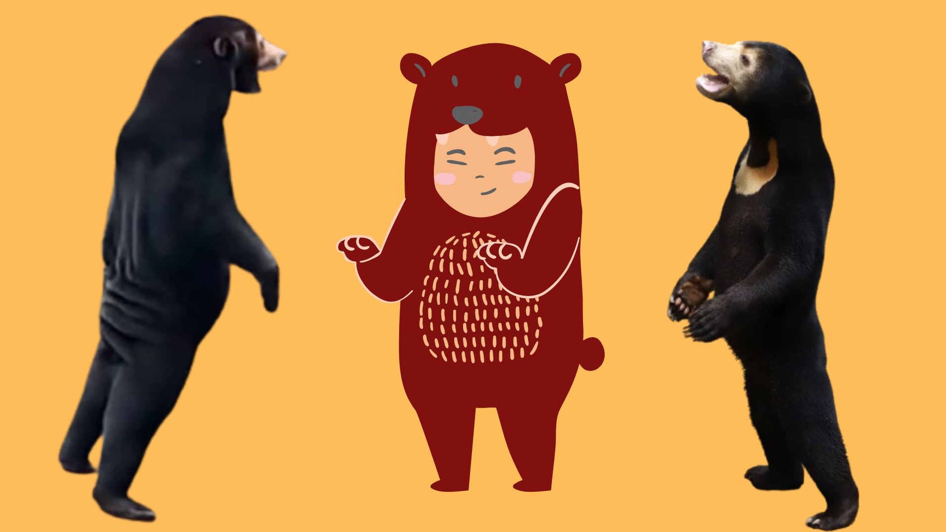 Chinese social media thinks this sun bear in Hangzhou zoo is a human in