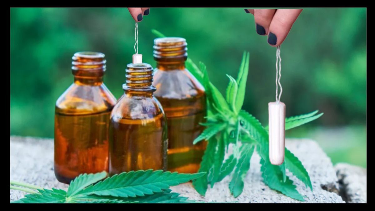 Meftal comes with sideeffects. Can CBDinfused tampons help with your