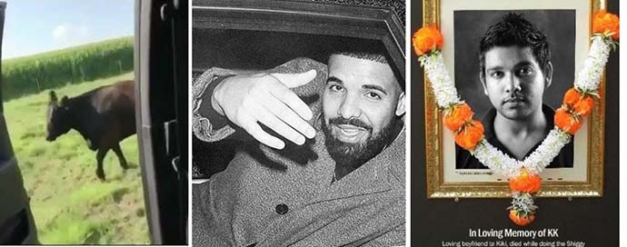 collage_083018034131.jpg collage_083018034131.jpg