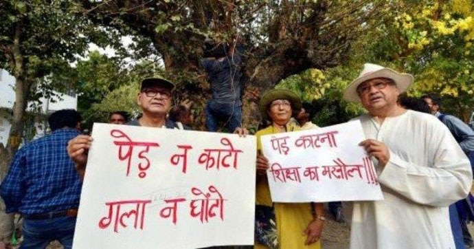 Permissions to cut thousands of trees have been given in a cavalier manner. Permissions to cut thousands of trees have been given in a cavalier manner.