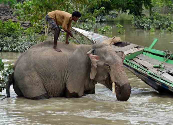 wildlife-690_081418023541.jpg wildlife-690_081418023541.jpg