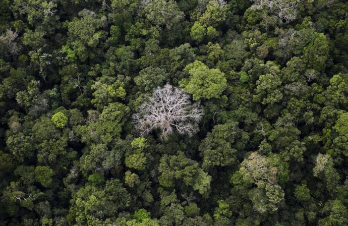 The satellites will help with forest mapping, land use and ice-cover monitoring, flood and disaster monitoring.