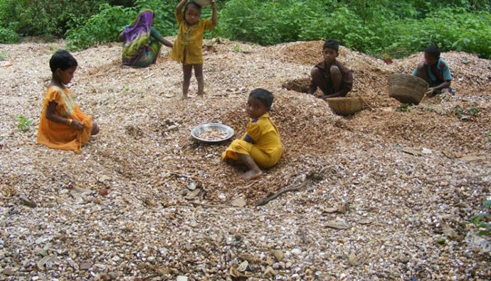 The lack of food security has hit Jharkhand's children hard. 