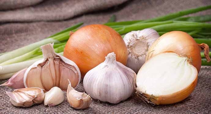 garlic-690_121818053346.jpg garlic-690_121818053346.jpg