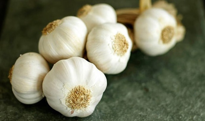 garlic1-copy_022219084559.jpg