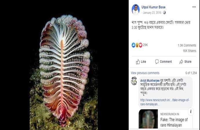 nagpushpa-body_073019073441.jpg nagpushpa-body_073019073441.jpg