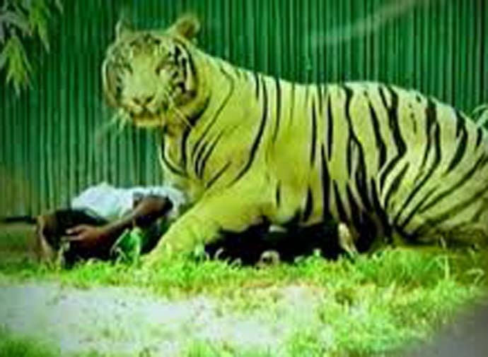 tiger5-aajtak-inside_071919072650.jpg