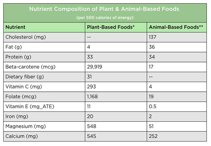 nutrient_093019023756.jpg