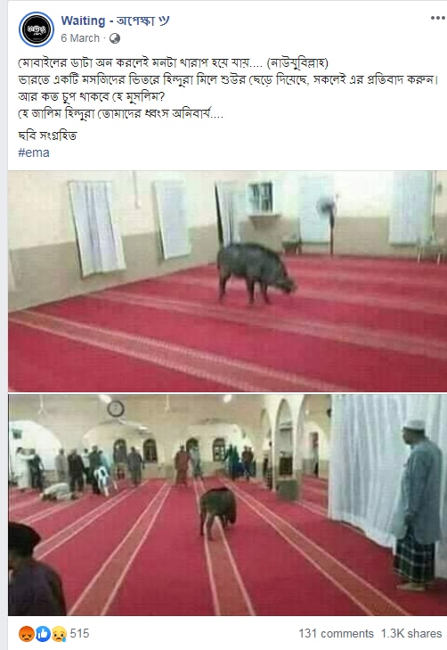 screenshot-13_051320095055.png screenshot-13_051320095055.png