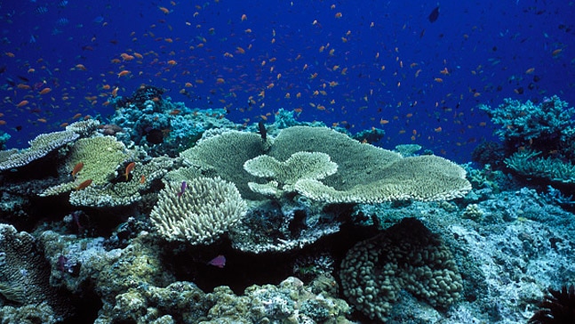 Photo: Getty Images Photo: Getty Images