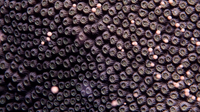 Photo: Getty Images Photo: Getty Images