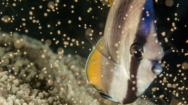 Photo: Getty Images Photo: Getty Images