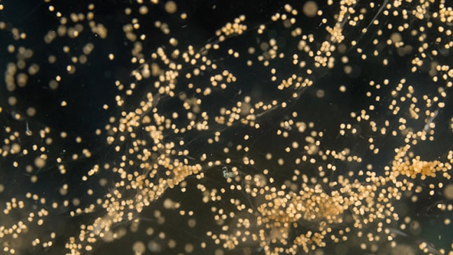 Photo: Getty Images Photo: Getty Images