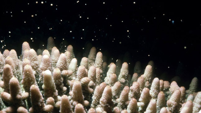 Photo: Getty Images Photo: Getty Images