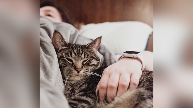 Cuddle with your Cat. Photo: Twitter