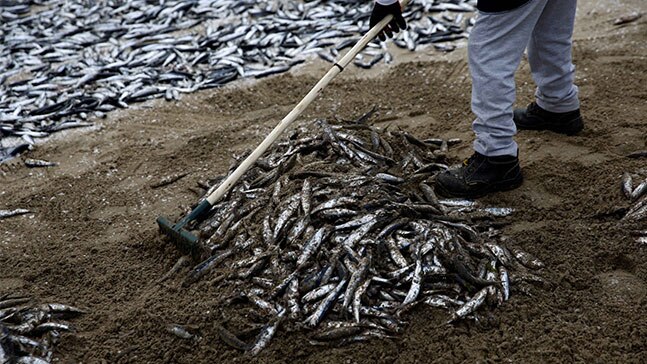Photo: Getty Images Photo: Getty Images